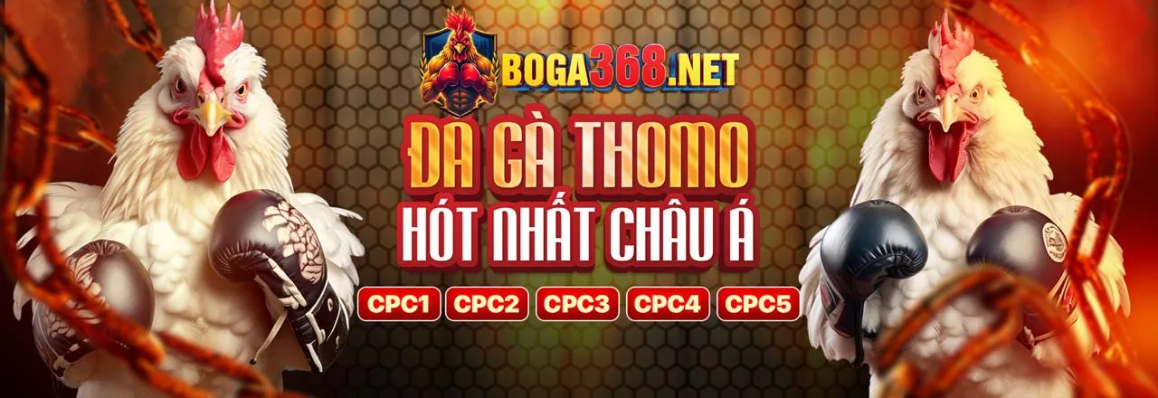 Đá Gà Trực Tuyến hcm66 code